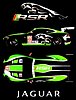 Card 2009 ALMS-GT2 (NS).jpg