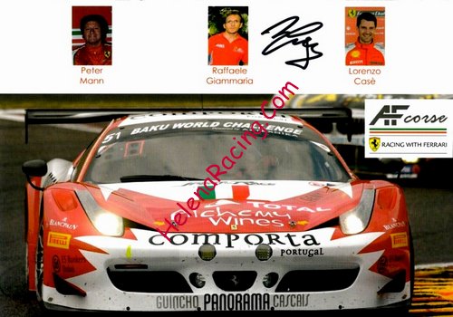 Card 2014 ELMS-GTE (S).jpg
