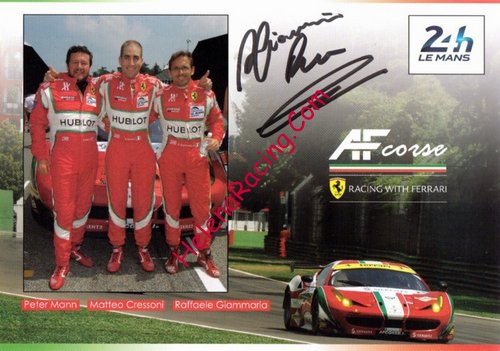 Card 2015 Le Mans 24 h (S).jpg