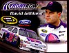 Card 2010 Sprint Cup (NS).jpg