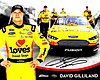 Card 2015 Sprint Cup (S).jpg