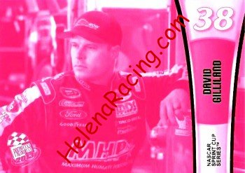 2013 Pass-Pink.JPG