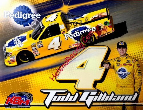 Card 2018 Camping World-Pedigree (NS).jpg
