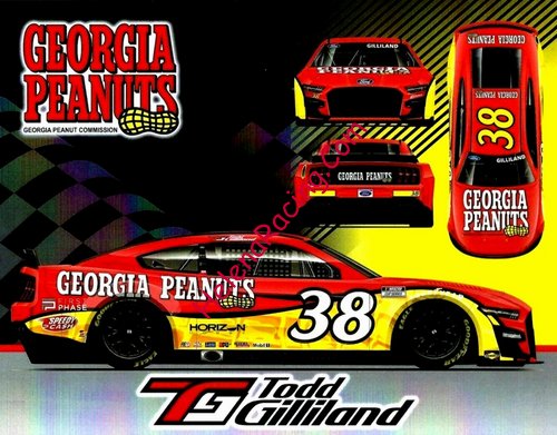 Card 2022 Nascar Cup-Georgia Peanuts (NS).jpg