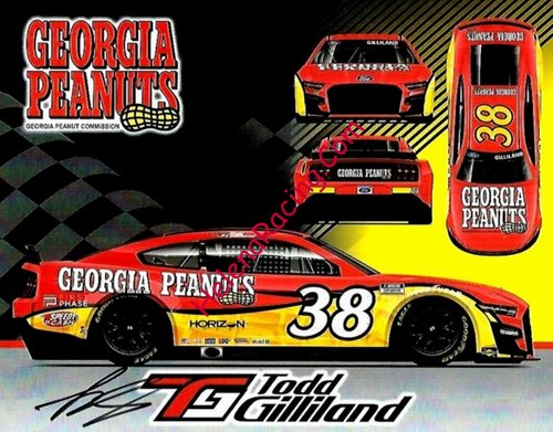 Card 2022 Nascar Cup-Georgia Peanuts (S)-.jpg