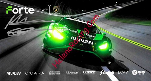 Card 2023 IMSA-GTD (S).jpg