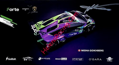Card 2024 IMSA-GTD Recto (S).jpg