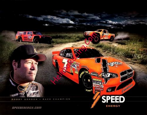 Card 2011 Sprint Cup (NS).jpg