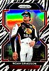 2022 Prizm-Zebra.jpg