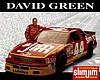 Card 1994 Busch Series (NS).JPG