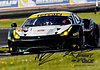 Card 2017 ELMS-GTE-2 Recto (S).jpg
