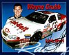 Card 2000 Busch Series (S).jpg