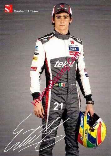 Card 2014 Formula 1 (P).jpg