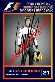 2014 F1-GP Singapore (S).jpg