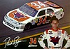 Card 2012 Sprint Cup-Scorpion (P).jpg