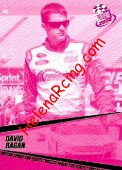 2014 Pass-Pink.jpg