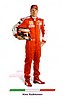 Card 2009 Formula 1 (NS).jpg