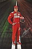 Card 2014 Formula 1 (P).JPG