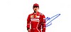 Card 2017 Formula 1 (P).jpg