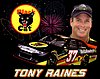 Card 2011 Sprint Cup (NS).jpg