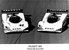 Card 1991 Peugeot (NS).jpg