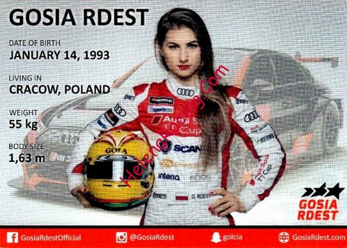 Card 2017 Audi TT Cup (NS)-.jpg