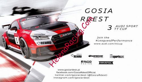 Card 2017 Audi TT Cup Verso (NS).jpg