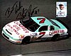 Card 1995 Busch Series (P).jpg