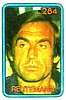1978 Formula 1.jpg