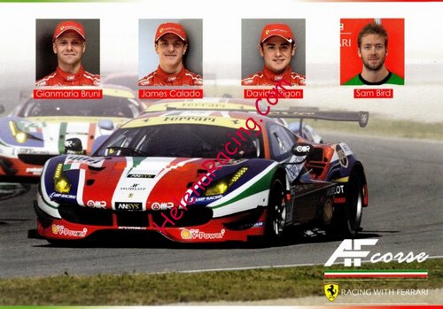 Card 2016 WEC-GTE-2 (NS).jpg