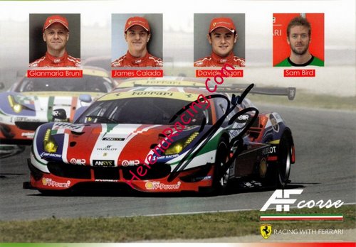Card 2016 WEC-GTE-2 (S).jpg