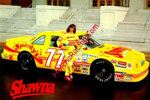Card 1991 Busch Series (NS).jpg