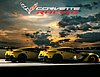 Card 2016 IMSA-GT (NS).jpg