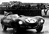 Card 1954 Le Mans 24 h-ACO (NS)-.jpg