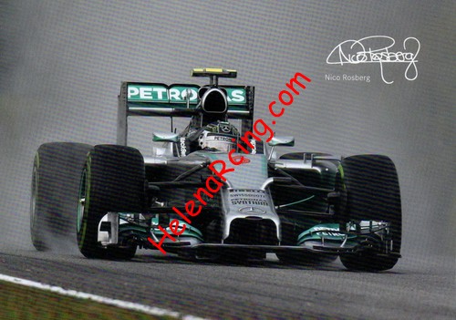 Card 2014 Formula 1-Mercedes (P).jpg
