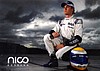Card 2009 Formula 1 (NS).jpg