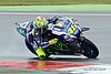 Card 2016 Moto GP (NS).jpg