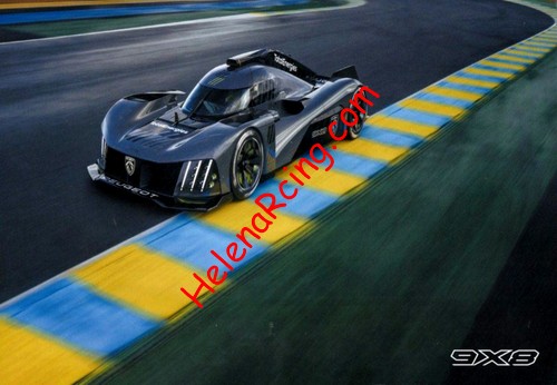 Card 2021 WEC-Peugeot Recto (NS).jpg
