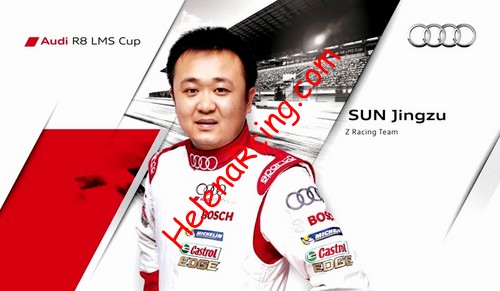 Card 2014 Audi R8 LMS Cup (NS).jpg