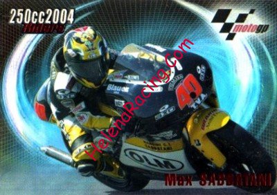 2004 MotoGP.jpg
