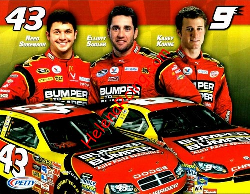 Card 2009 Sprint Cup-Bumbers (NS).jpg