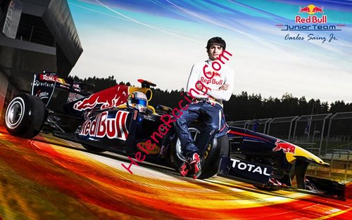Card 2013 Red Bull (NS).jpg