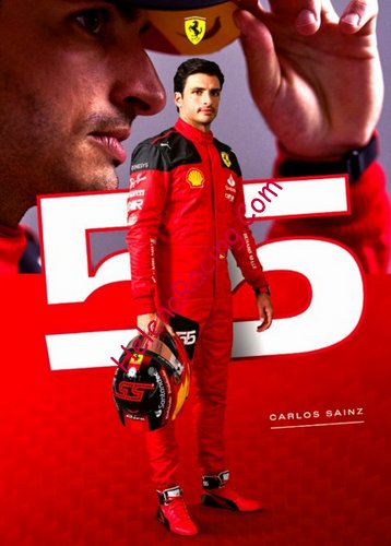 Card 2023 Formula 1 (NS).jpg