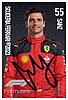 Card 2023 Formula 1 (P).jpg