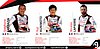 Card 2017 WEC-LMP1 Verso (NS).jpg