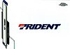 2020 Chrome-Trident.jpg
