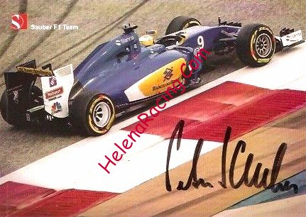 Card 2015 F1-Team (S).jpg
