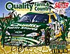 Card 2001 Busch Series (S).jpg