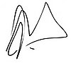 Autograph.jpg