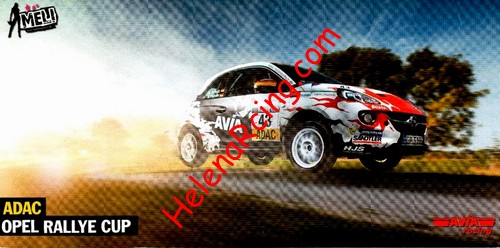 Card 2015 Rallye Cup Recto (NS).jpg